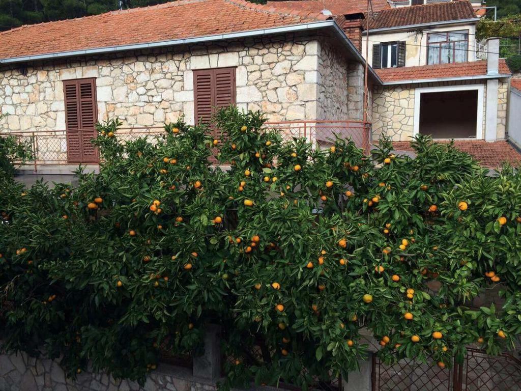 Holiday House With A Parking Space Svirce, Hvar - 17682 Vrbanj Extérieur photo